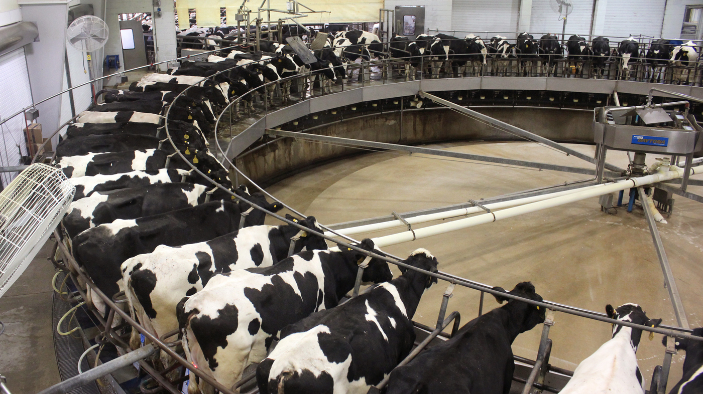 Milking systems
